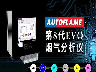 AutoFlame MK8-EGA二氧化碳在线烟气分析仪