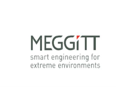 Meggitt VIBRO-METER