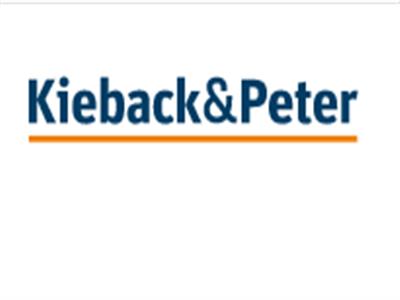 Kieback&Peter SBM41 输入输出模块