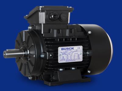 BUSCK SWE280M-4 90KW 400/690V B3/B5