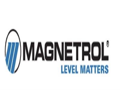Magnetrol XTD1-2D00-031 TMA-A220-010 传感器