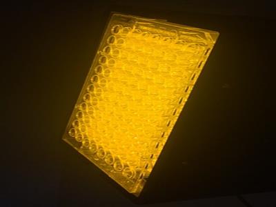 光敏、光热、细胞光毒性光源照射机 LED96孔细胞培养板96孔板光源氙灯光源单色仪波长可调光源