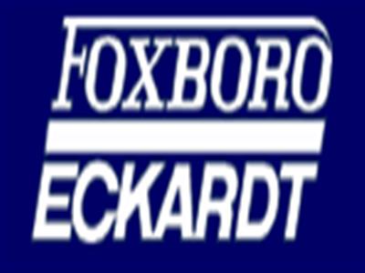 FOXBORO ECKARDT     SRI986-BIDT7EAANA-C
