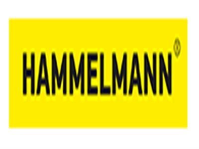 HAMMELMANN
