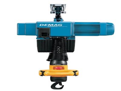 Demag DC-Pro 5-500 1/1 H5 V8/2