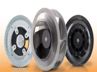 torin-sifan SN3 3JB