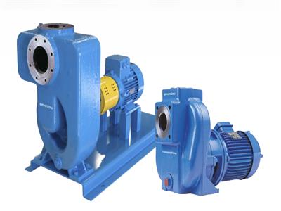 johnson-pump FREF 50-125 / G1 MQ0 离心泵