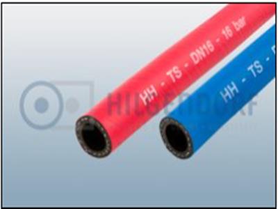 Hilgendorf 1006027-TS-B