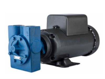 EMRAX 188 MV AC