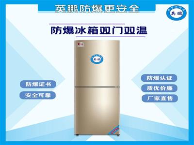 阳江化工厂250升双门双温防爆冰箱