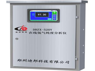 DBZX-520Y在线氢气纯度分析仪