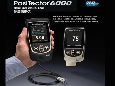 英国PosiTector 6000涂镀层测厚仪