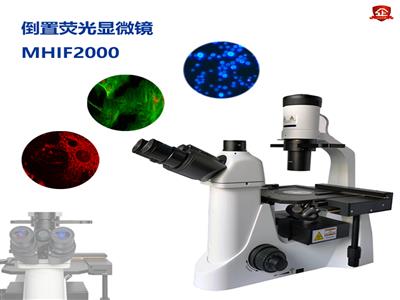 广州明慧倒置荧光显微镜MHIF2000-深圳荧光显微镜-韶关荧光显微镜代理商